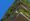 Strata / Community: Professional Career