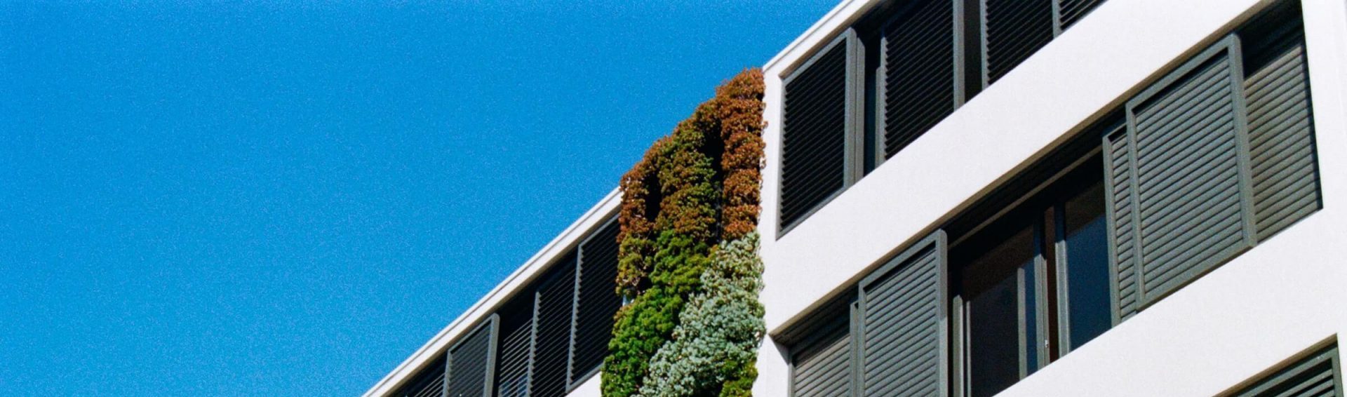 Engaging with Empathy